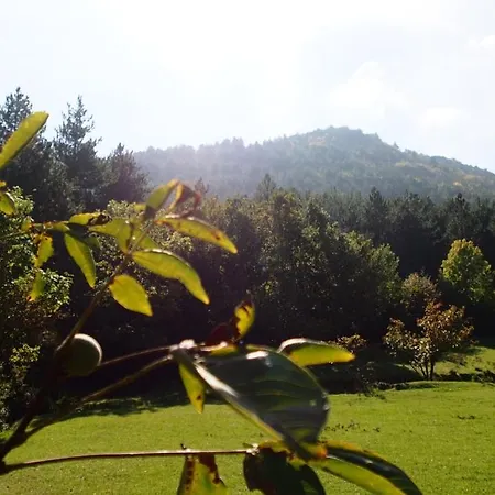 La Mouline *